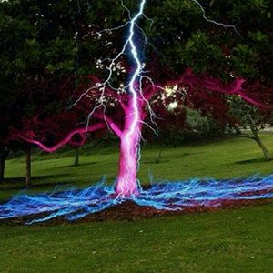 Meet your Posher, Shelley